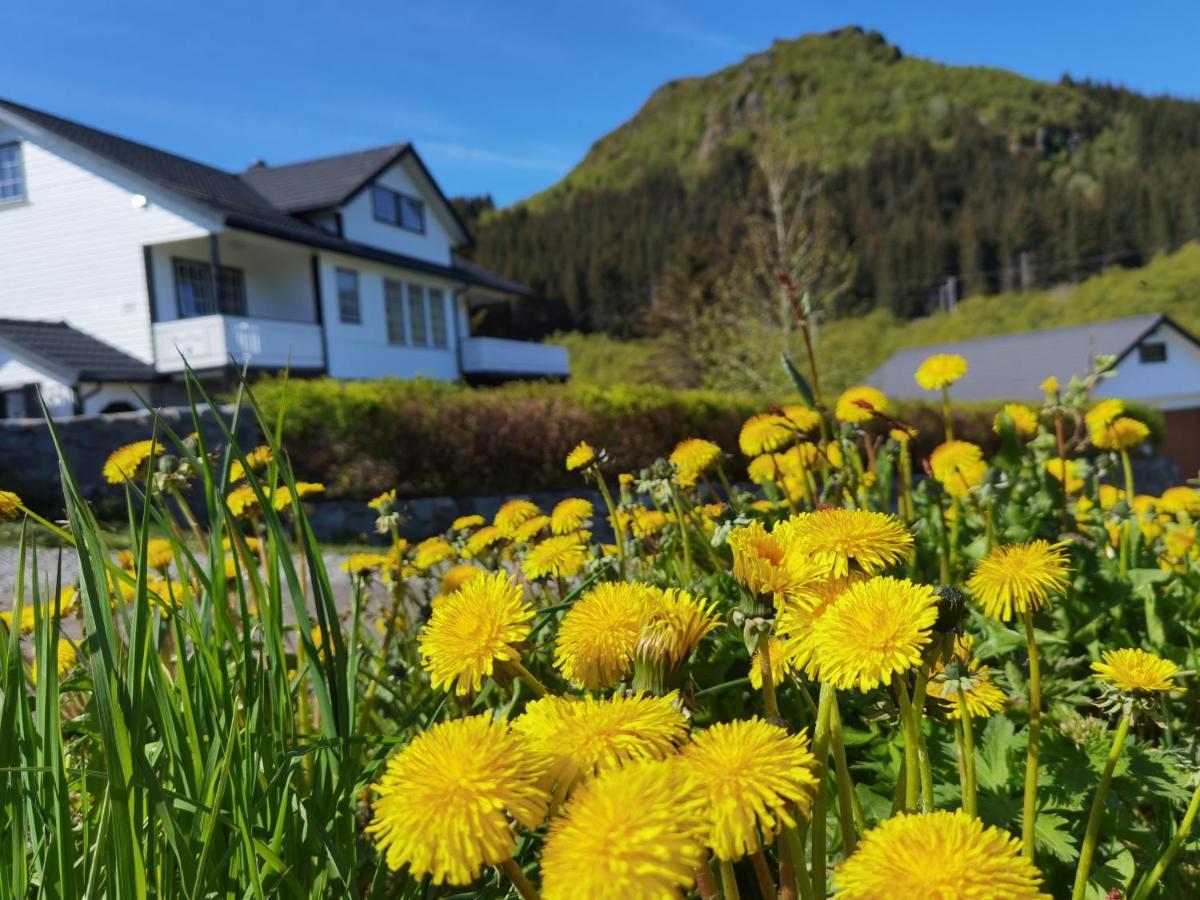 Banpim Hillside Lofoten With Jacusszi Gravdal  Bagian luar foto