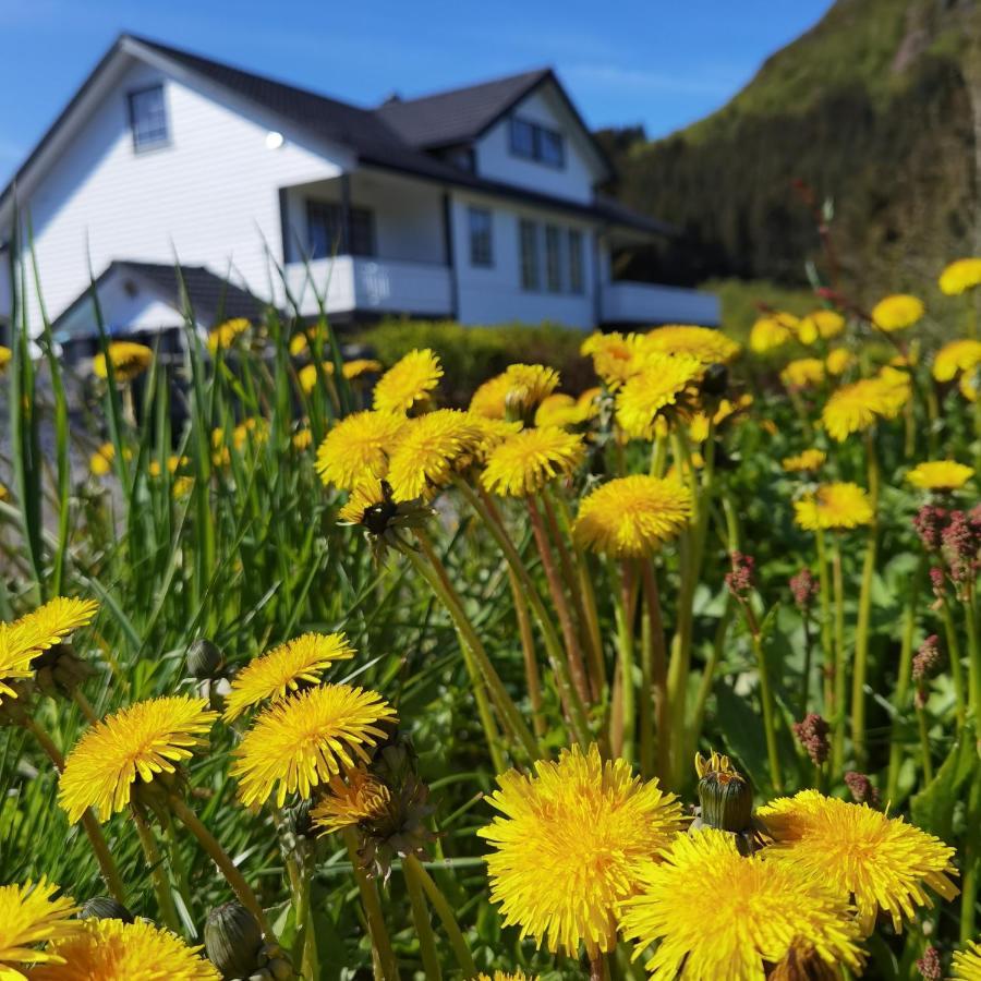 Banpim Hillside Lofoten With Jacusszi Gravdal  Bagian luar foto